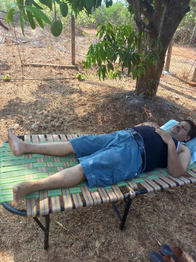 Misty Woods Eco Cottages Harihareshwar Buitenkant foto